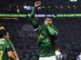 Palmeiras vs Bahia Prediction: Team to Win, Form, News and more